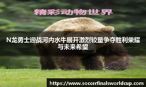 世预赛竞猜
