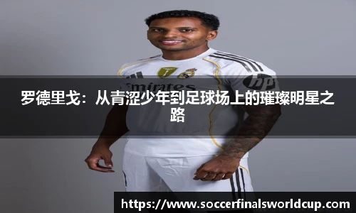 世预赛直播